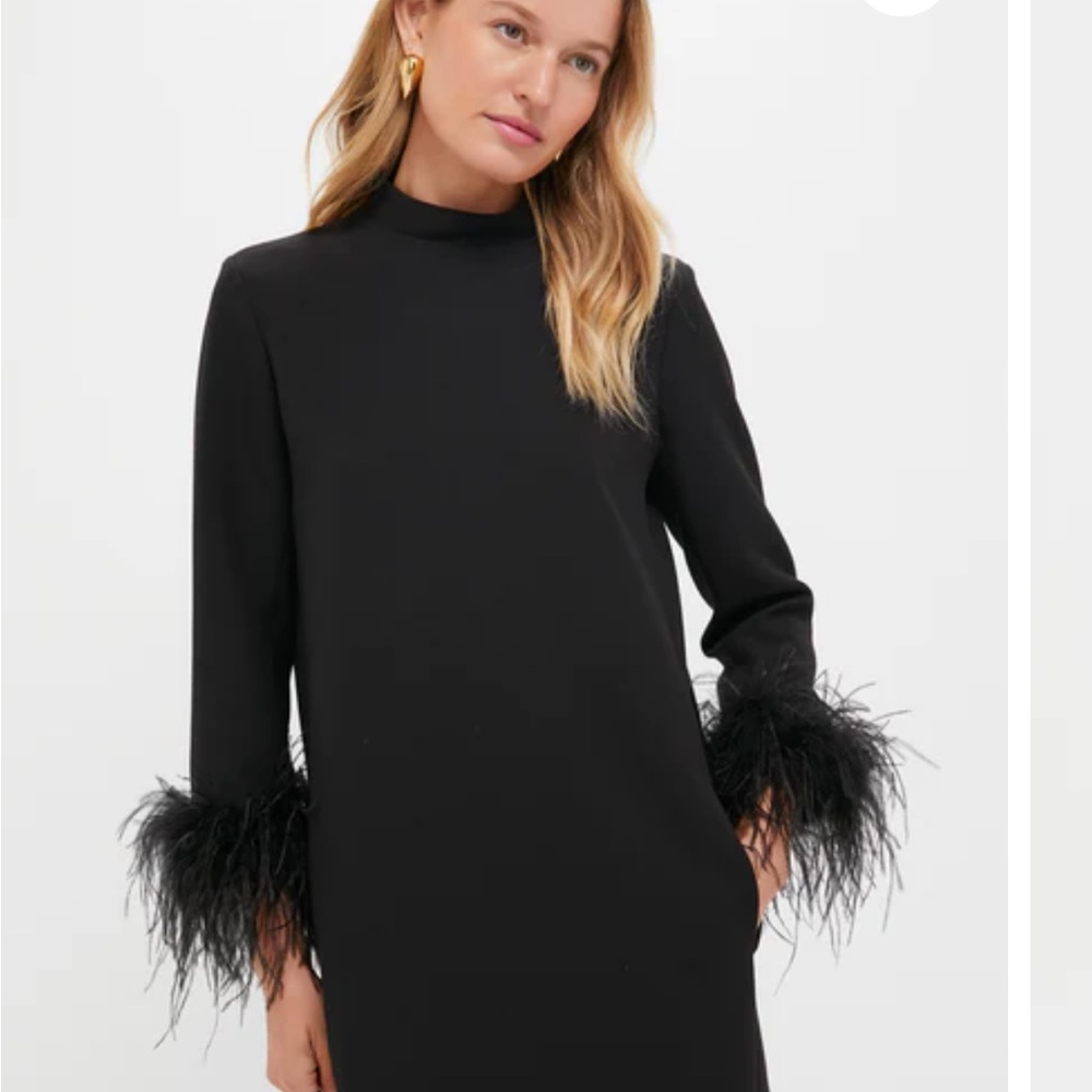 Tuckernuck Black Feather Mod Ellie Dress with Feather Sleeves